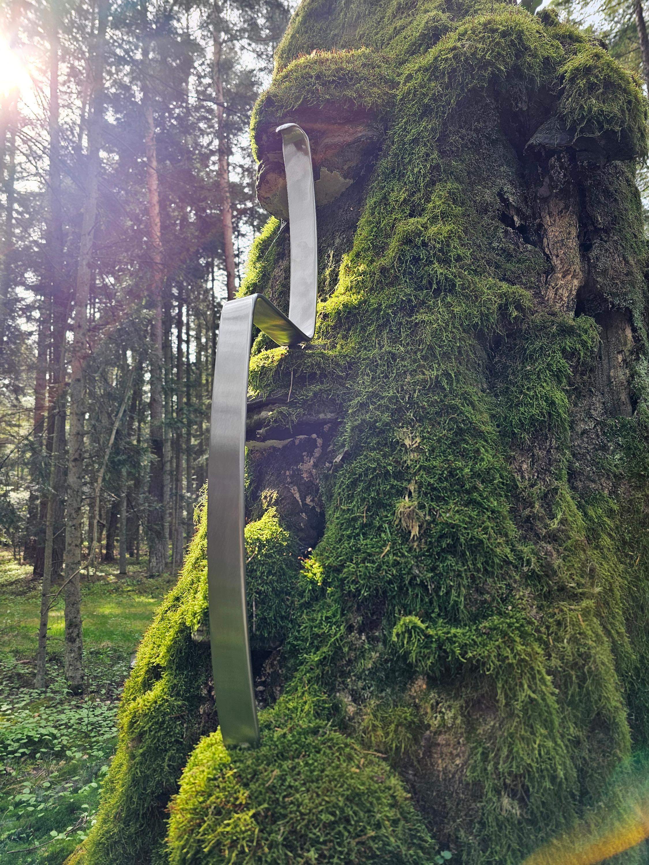 Flatbar ZEUS THUNDER 6